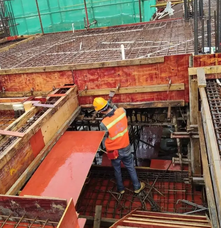 建筑结构模板与钢筋施工现场